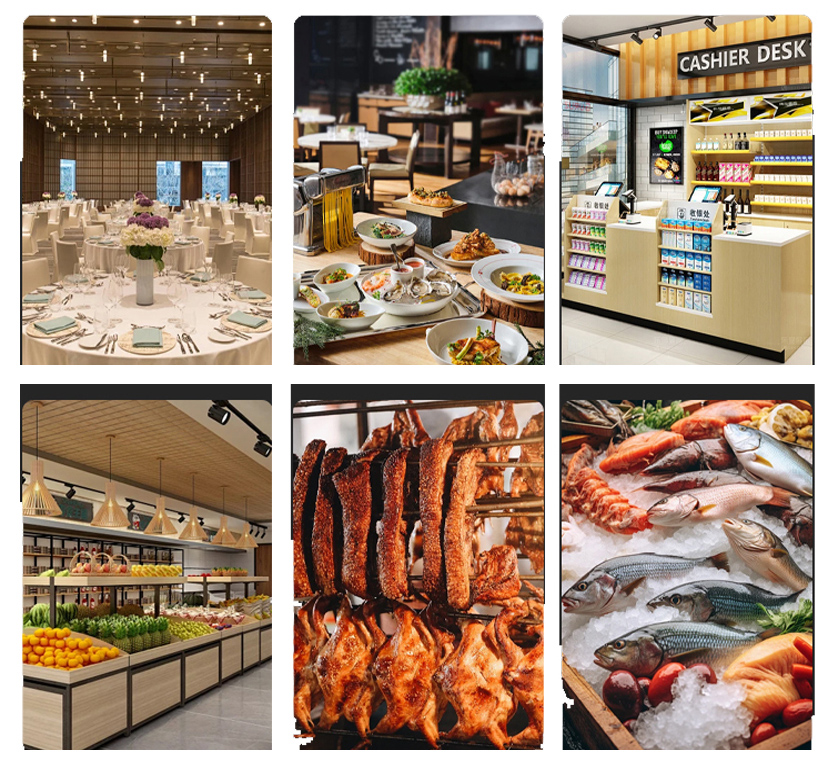 Kitchen-Refrigerator-Series-European-GN-Version (7)